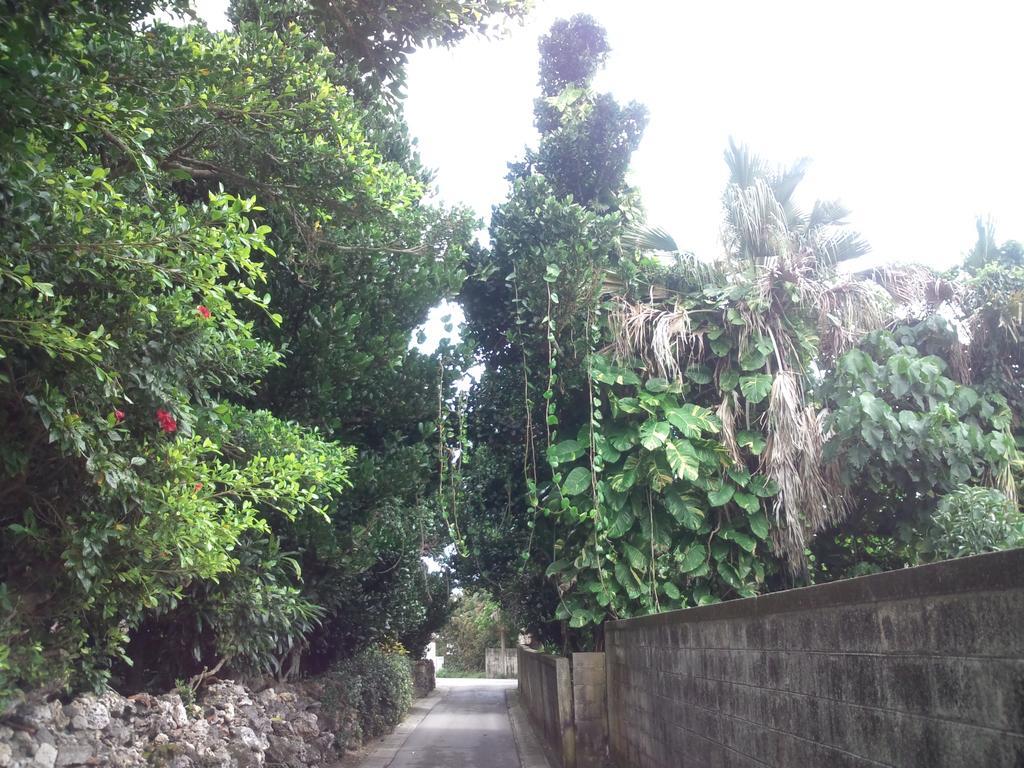 Shirahono Yado Aoi Umi Otel Ishigaki  Dış mekan fotoğraf