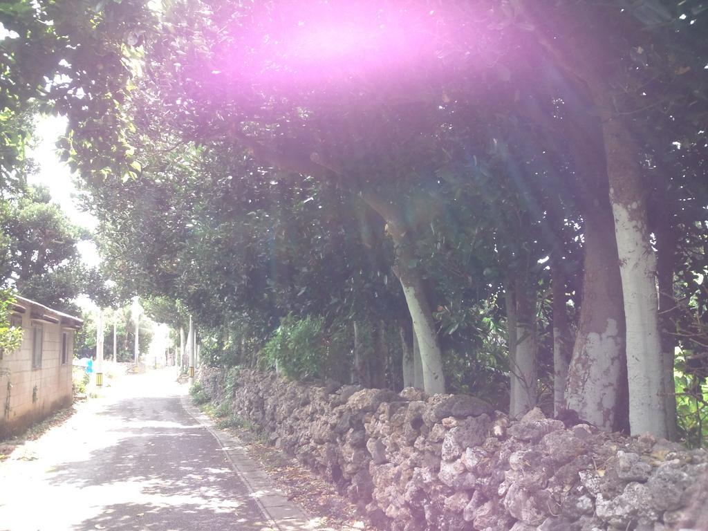 Shirahono Yado Aoi Umi Otel Ishigaki  Dış mekan fotoğraf